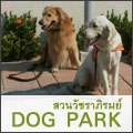 สวนวัชราภิรมย์  DOG PARK